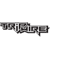 Andre Curtis - Publishing QA Manager TripWire